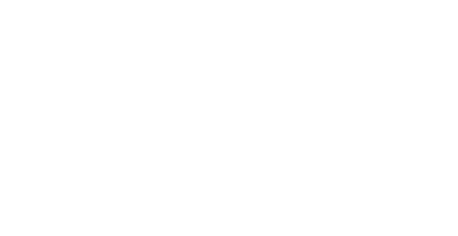 District 1 - VFW Dept of Georgia logo white